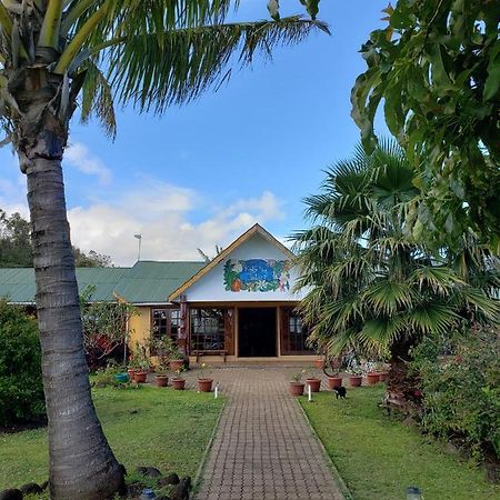 Cabanas Rapa Nui Orito Hanga Roa Exteriör bild