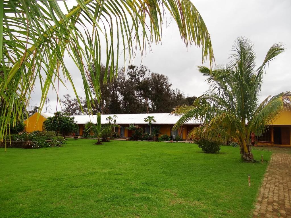 Cabanas Rapa Nui Orito Hanga Roa Exteriör bild