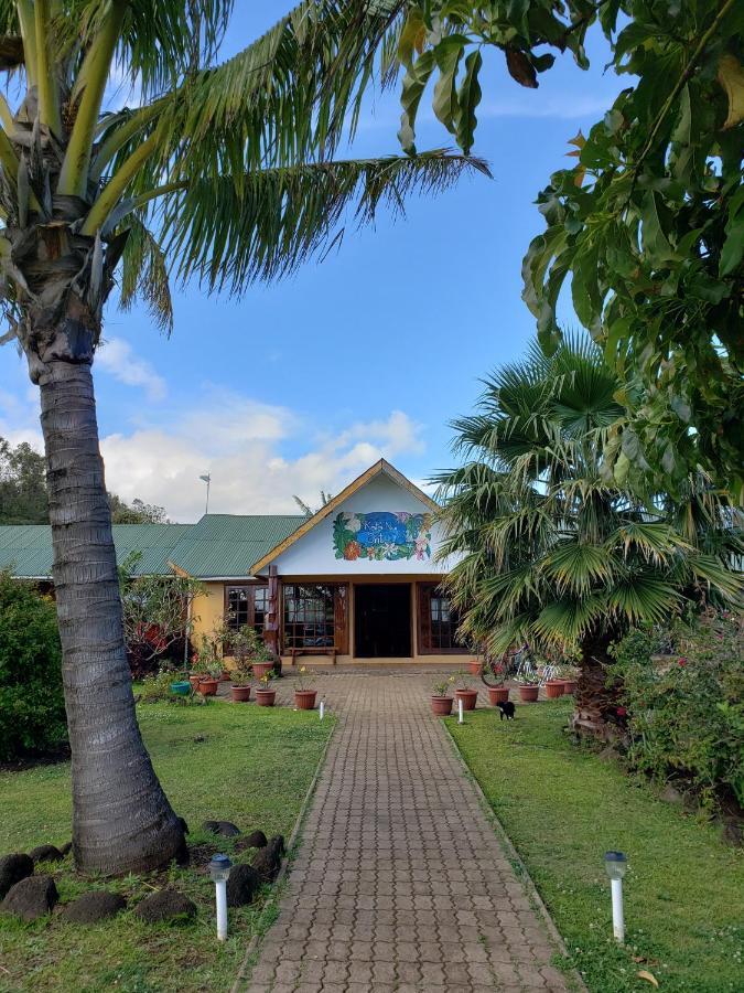 Cabanas Rapa Nui Orito Hanga Roa Exteriör bild